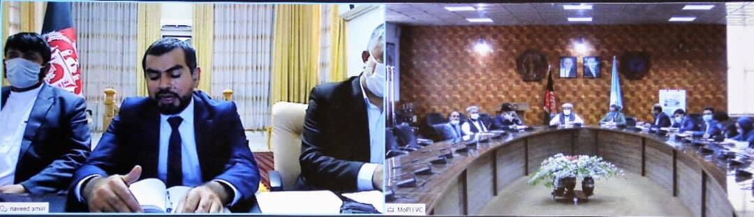 تلاش رهبری وزارت صحت عامه برای جلوگیری از گسترش ویروس کرونا در ولایت هرات