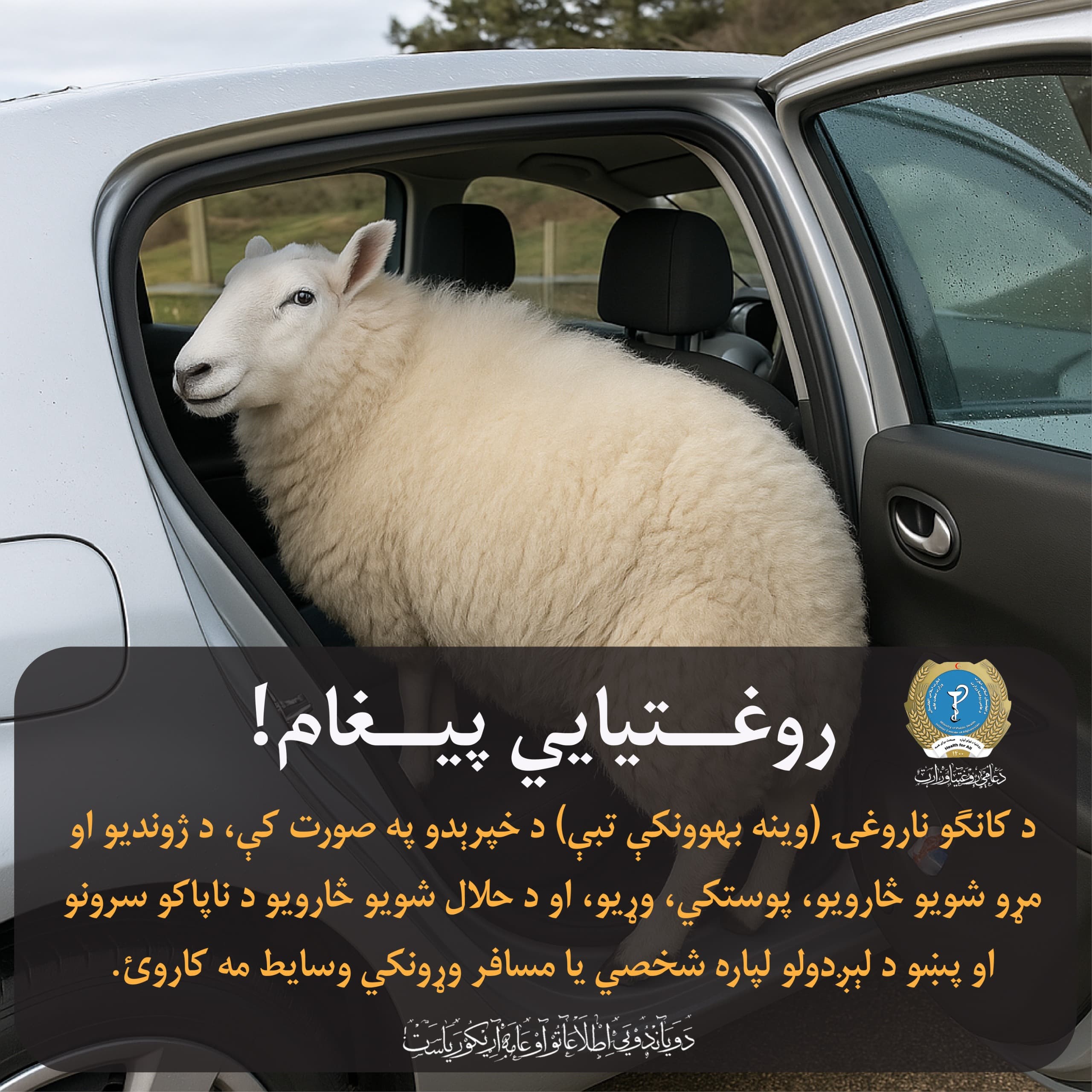 Health message