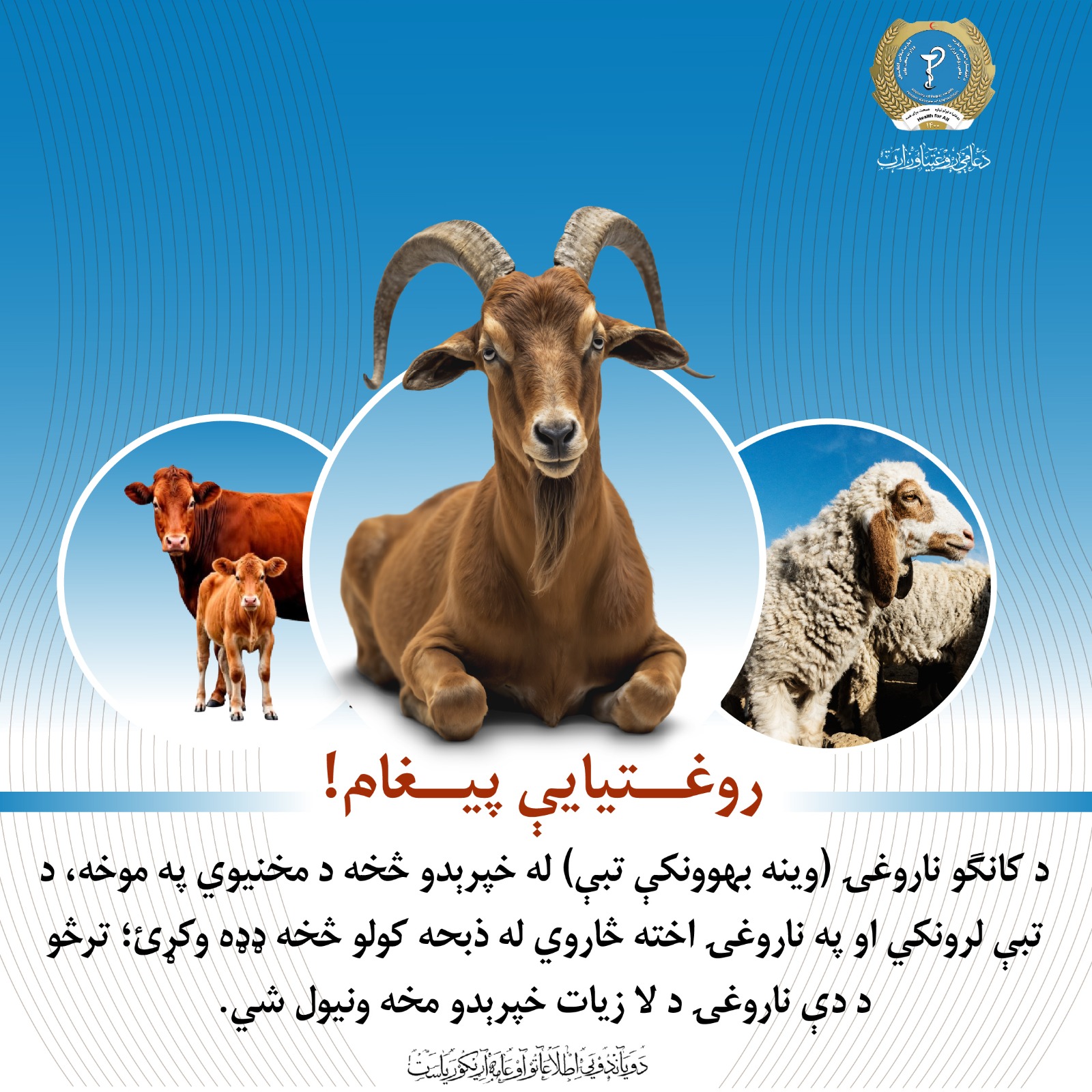 Health message